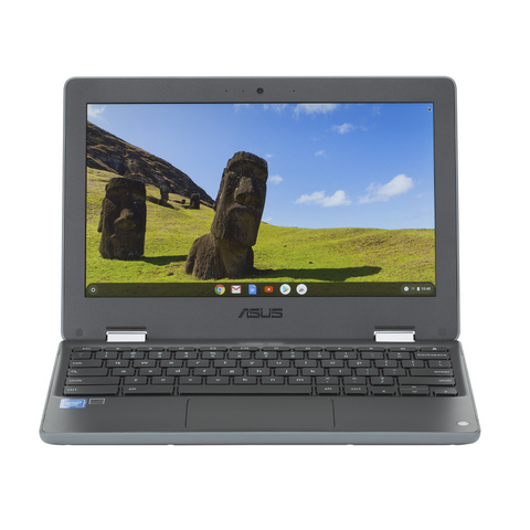 Asus C214MA Flip 